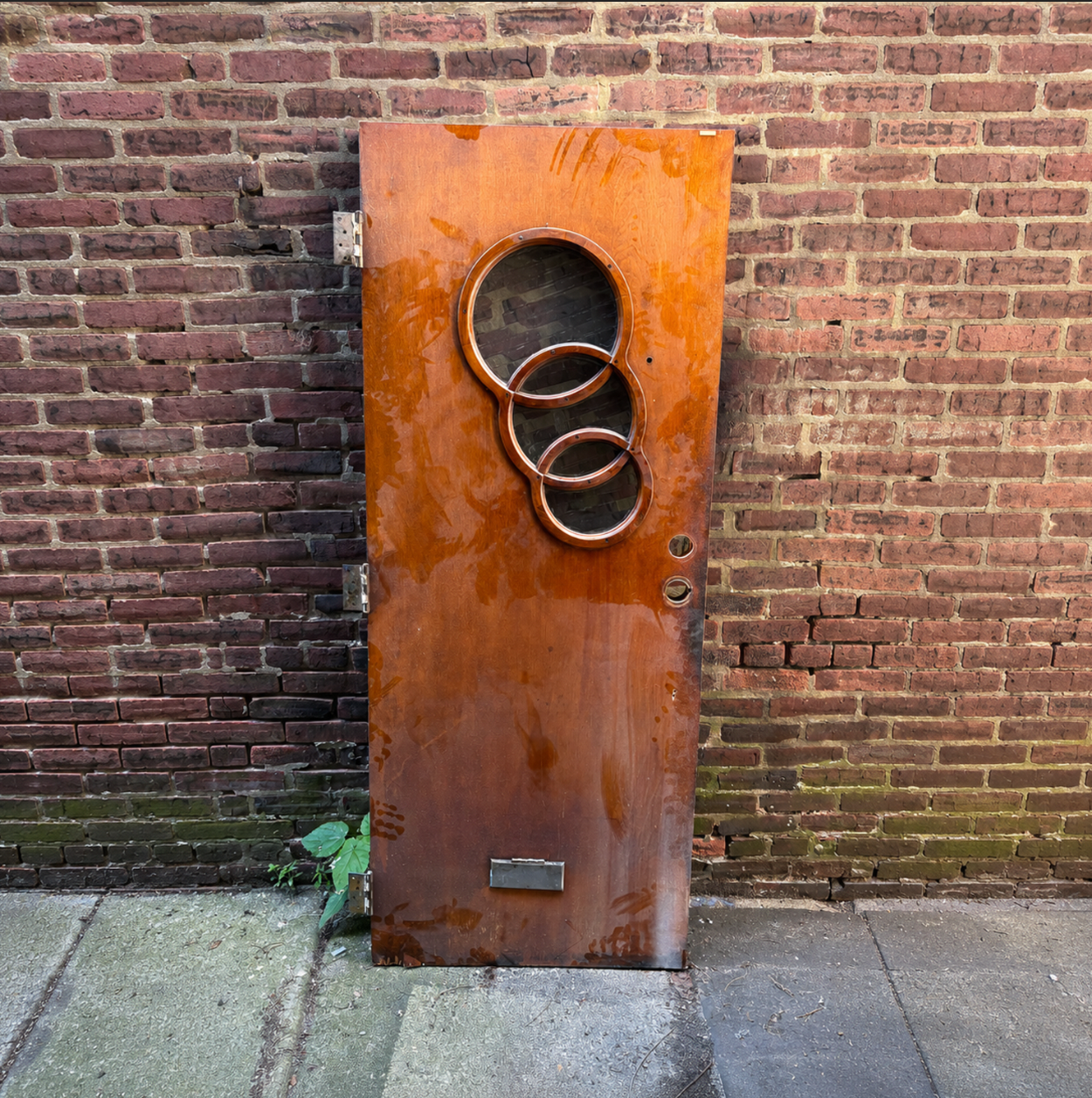 Circles Tofani Door + Transom