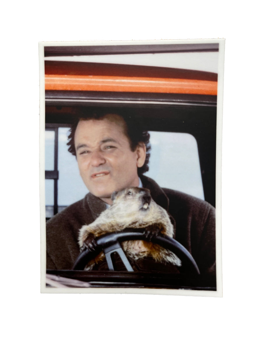 Groundhog Driving Groundhog Day Sticker – SouthFellini